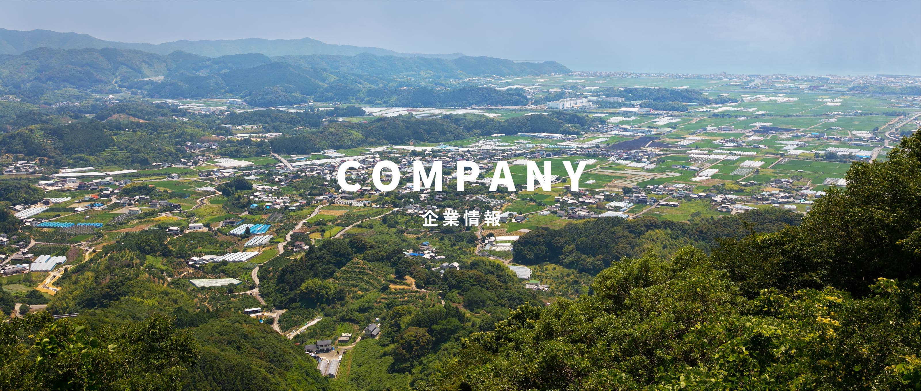 COMPANY 企業情報